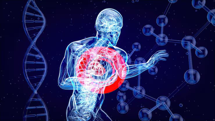 Зүрх судасны эмгэг илрүүлэх багц